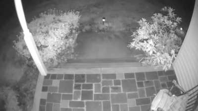 Caught shadow figure next to my front porch at 2:37am! Gives me goosebumps! Never caught anything like this in the 7 years I've had these cameras.
