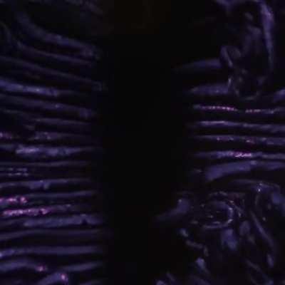 me watching everyone fight on the elimination game