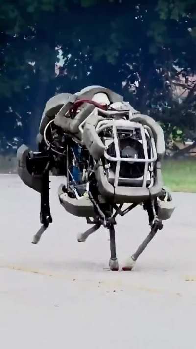 A legged robot that runs at 20 mph, by a two stroke go kart engine, from Boston Dynamics
