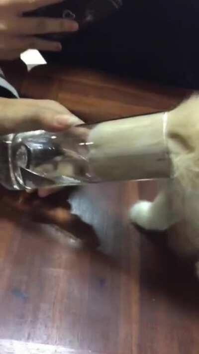 go liquid to get liquid