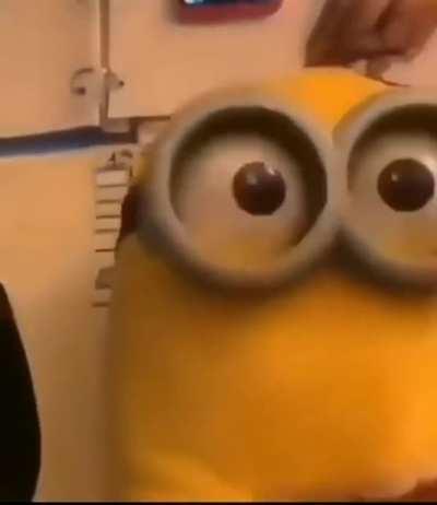 BeelcitosMemes - Video #9514