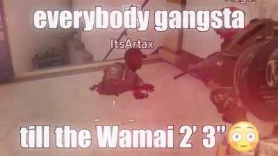 They wouldn't let me post this in ShittyRainbow6, so enjoy this glitch here