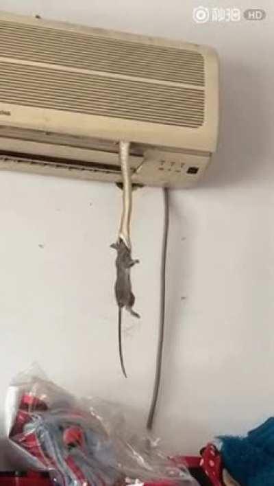 I'd leave the house ASAP