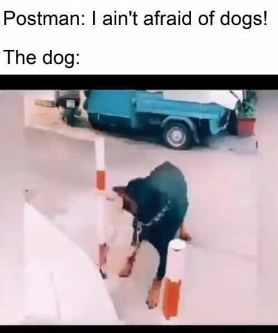 The postman better know how to run fast