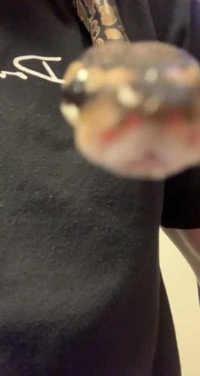 Idk lol, just thought she was cute