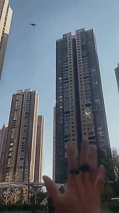 WCGW while playing with pet sugar glider 