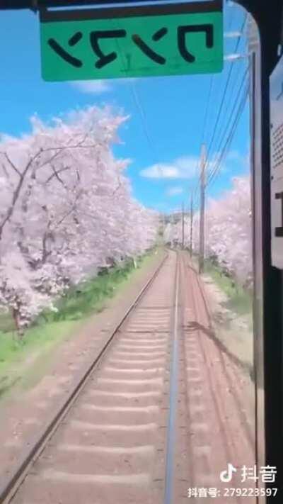 Train ride in Japan looks like a scene from Anime