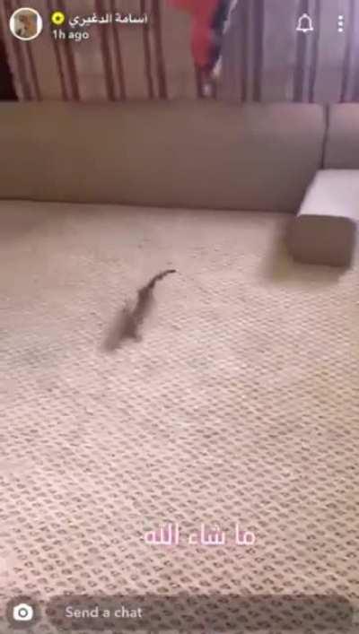 Вопросов больше чем ответов