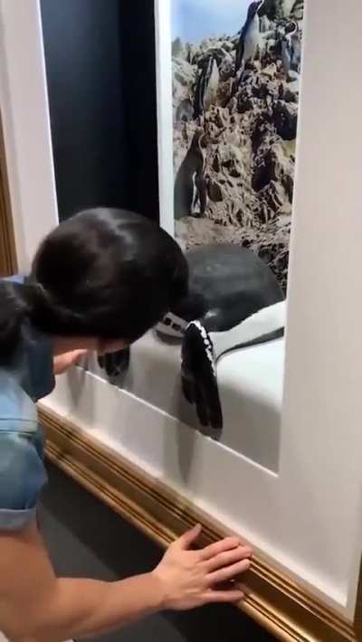 Make one with anime girls and watch the tourists pour in