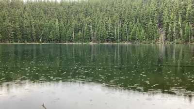 Morning rain on an alpine lake in the Pacific Northwest