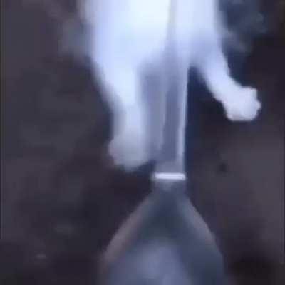 5 members thanks 😁😁😁