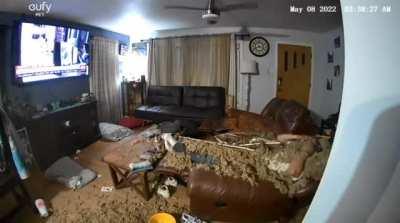 Ceiling decided to give up