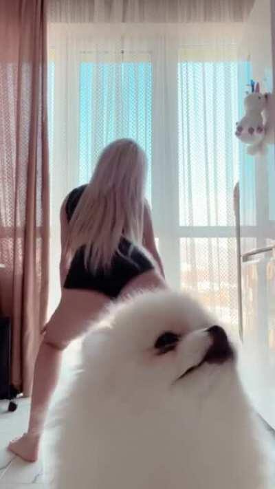 This dog is always in the way