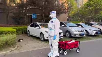 Just a regular day in Shanghai