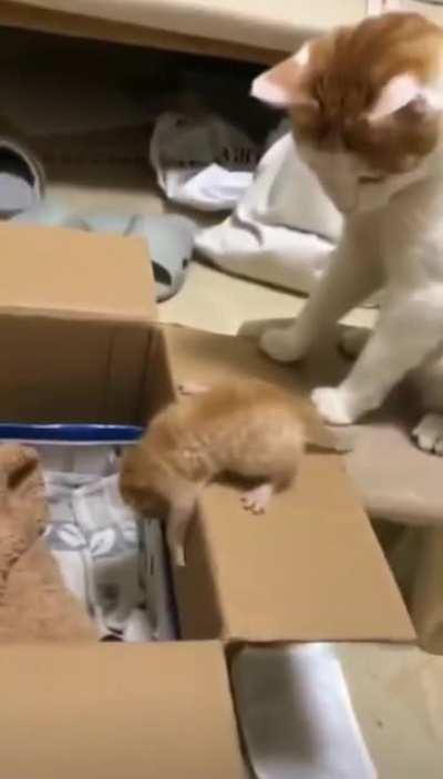 Давай я тебе помогу