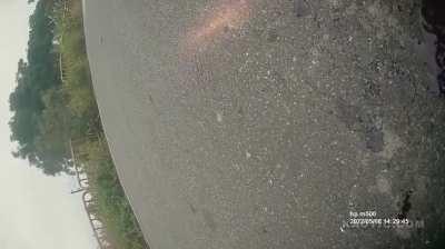 Silence after being hit by car