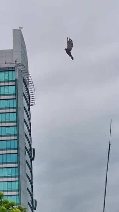 Очередной сбой в матрице