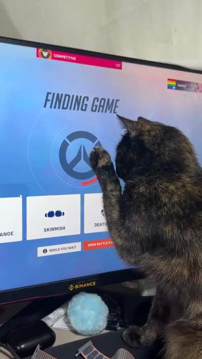 My cat enjoys playing during queue 🎾🐈‍⬛