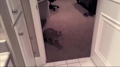 so you have chosen death