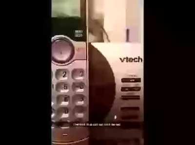 jacksfilms has a mental breakdown xd funny (volume warning)