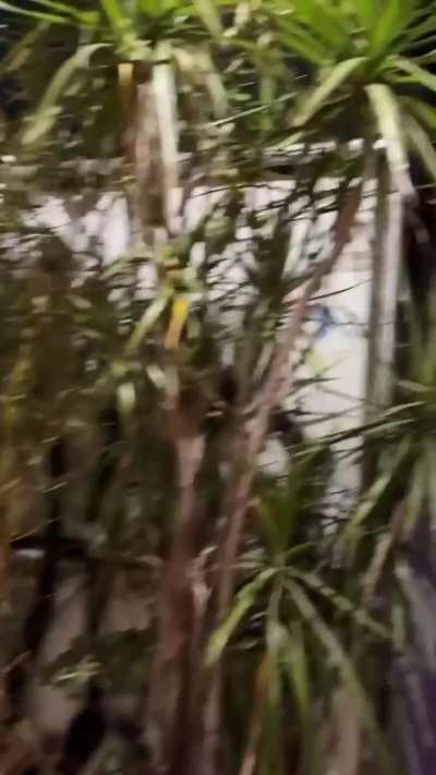 Something smells good. Had to come see.