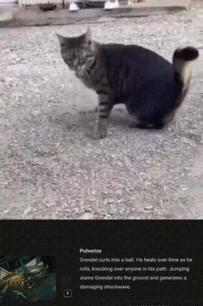 Cat definitely mains grendel