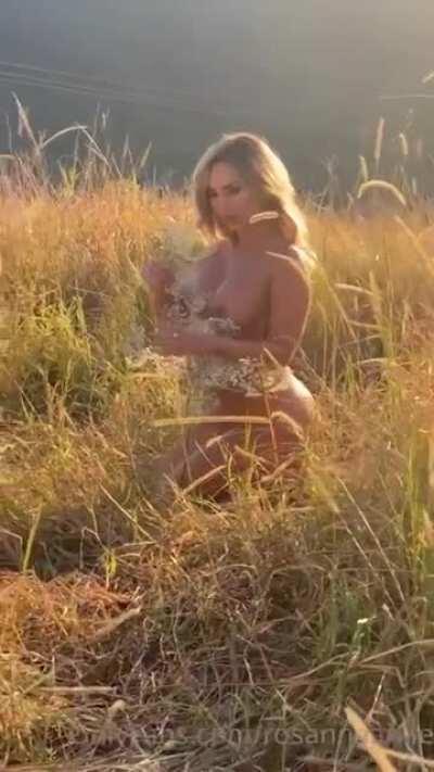 También Aporto ya que saco Fotos de aca.