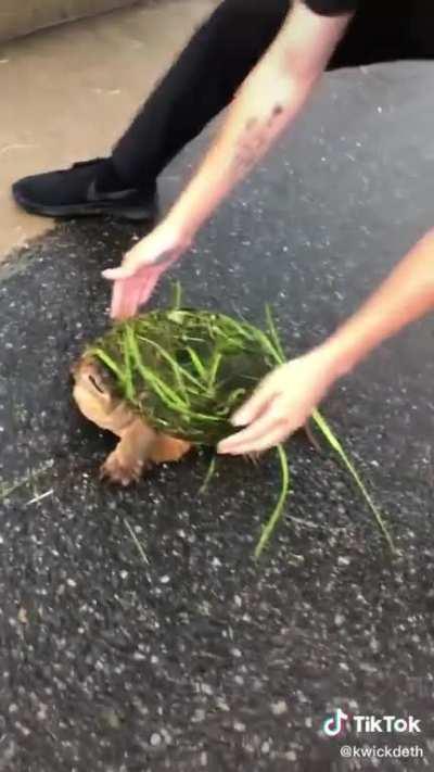 Was just trying to help