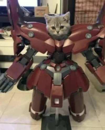 Robo-Cat, he can shoot rockets, and hairballs