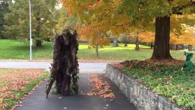 my brother in law in the incredible seven piece costume he made by hand from scratch for halloween 2018 (feat. my delightfully unphased niblings)