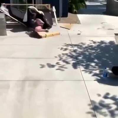 Rest in peace, trampoline