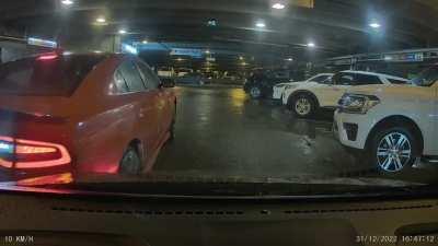 He claimed he didn't see me because his backup camera was dirty. If only there was some other way....