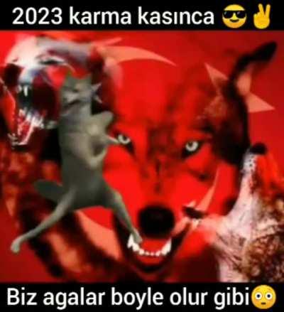 81 atina 🇹🇷🇹🇷 82 vaşingtın