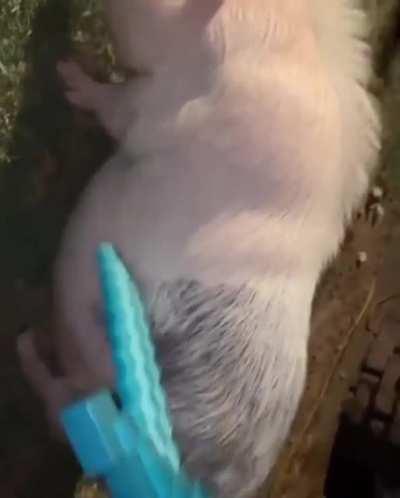 Minecraft vs reality