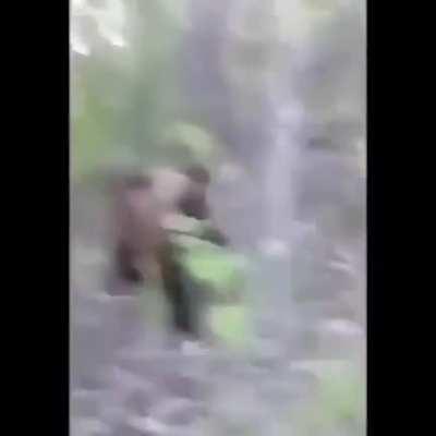 If I kick a bear