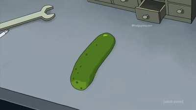 Le funniest shit I've ever seen has arrived