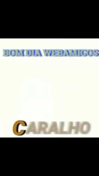 BOM DIA CARALHO