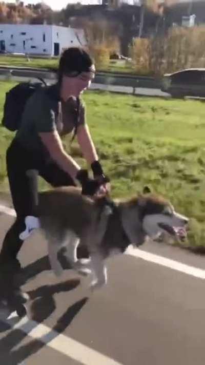 Proper use of the husky in the city. Tatiana Karpova, 19, was rollerblading with her friend's five-year-old pet, a husky named Butur, in Nizhny Novgorod.