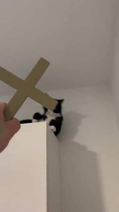 The number of the beast is 666