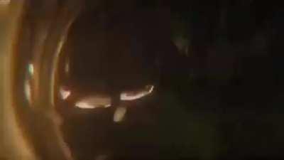 No title, brain empty