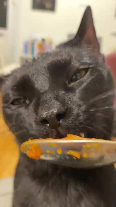 Beans loves canned pure pumpkin 🎃