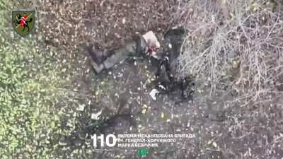 110th Mechanized Brigade Eliminates Russian soldier with a Drone drop
