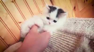 Tap and nibble the fingers