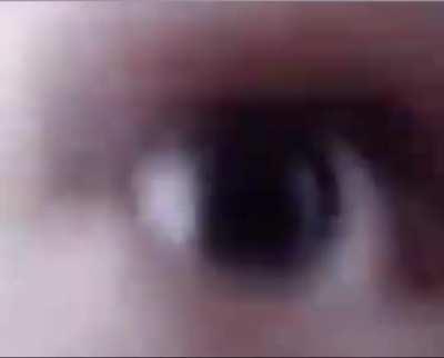 personally my fav xqc clip whats yalls