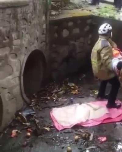 Rescuer connects harness incorrectly