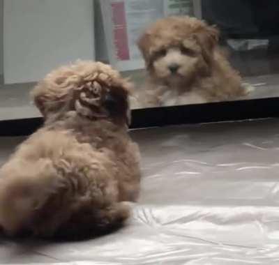 You want some of this?