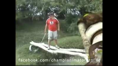 Caída de Edgar versión shrek y Edgar.