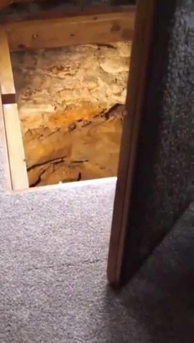 it puts the lotion in the basket…