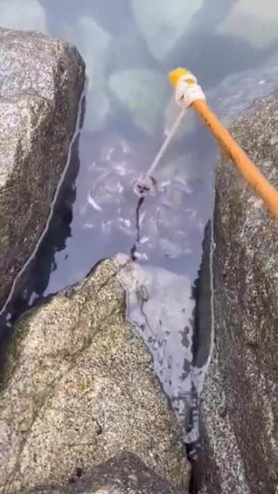 I was not expecting that many