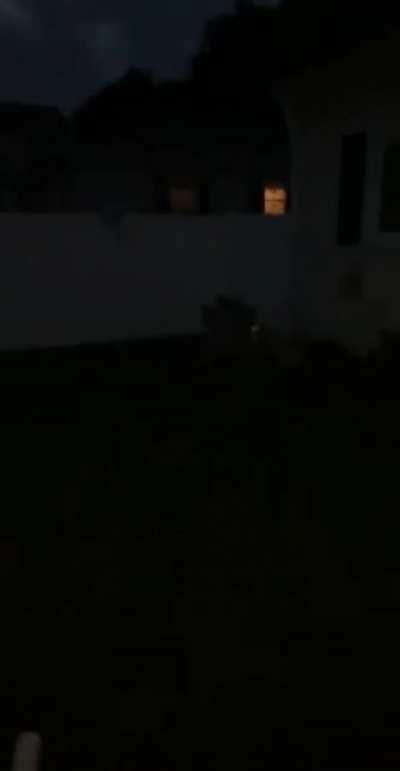 Almost blew up the backyard